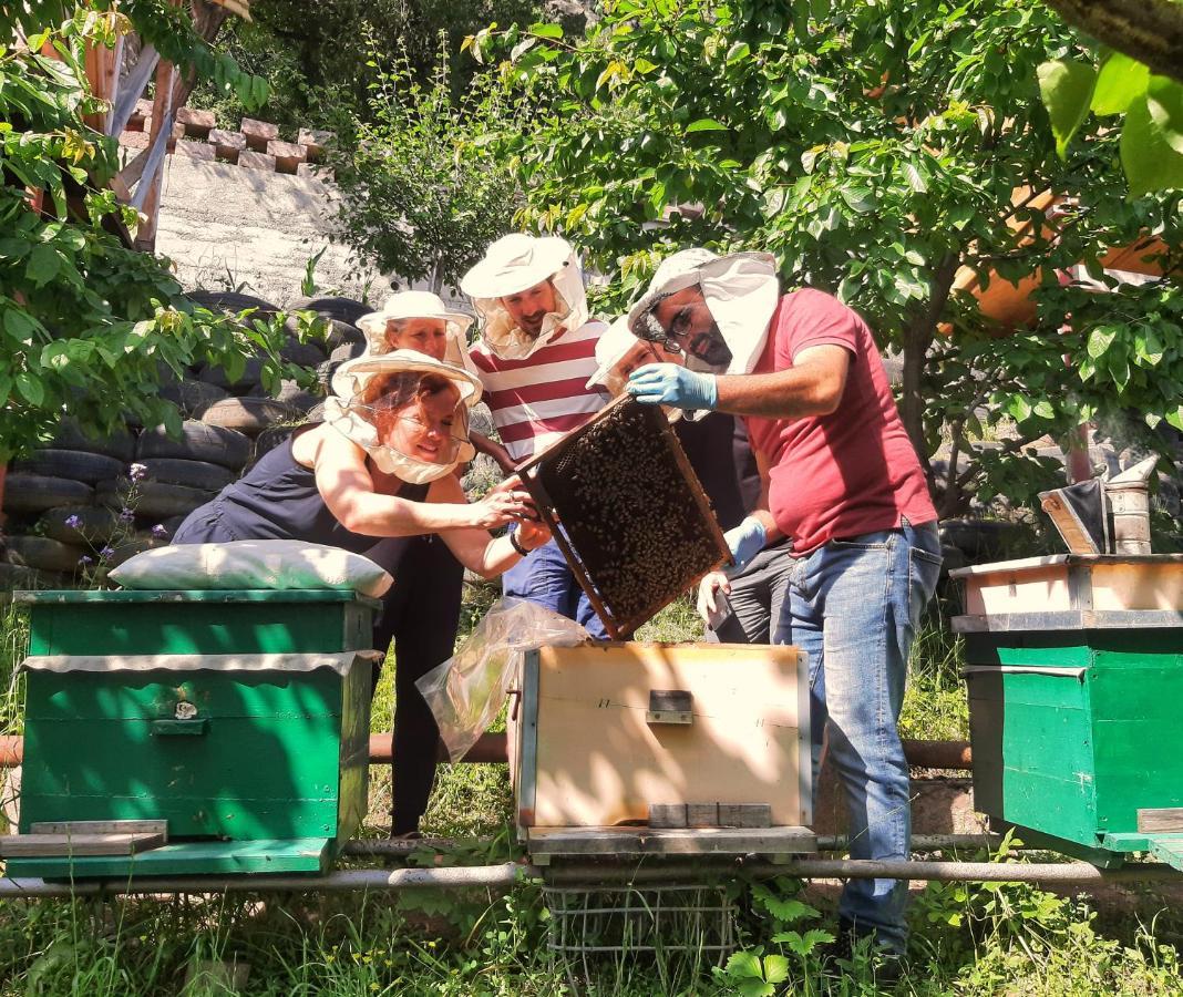 Vila Armbee Honey Farm Alaverdi Exteriér fotografie